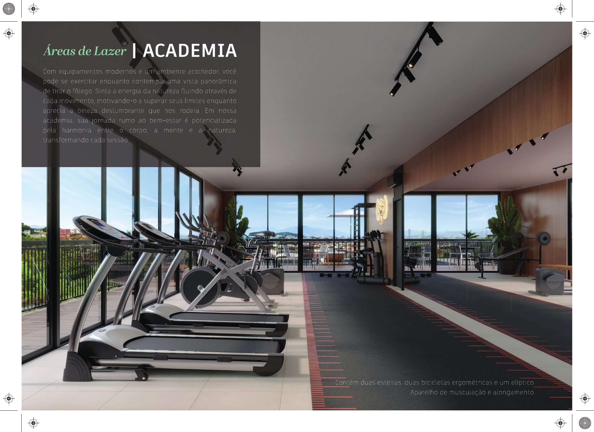 Academia