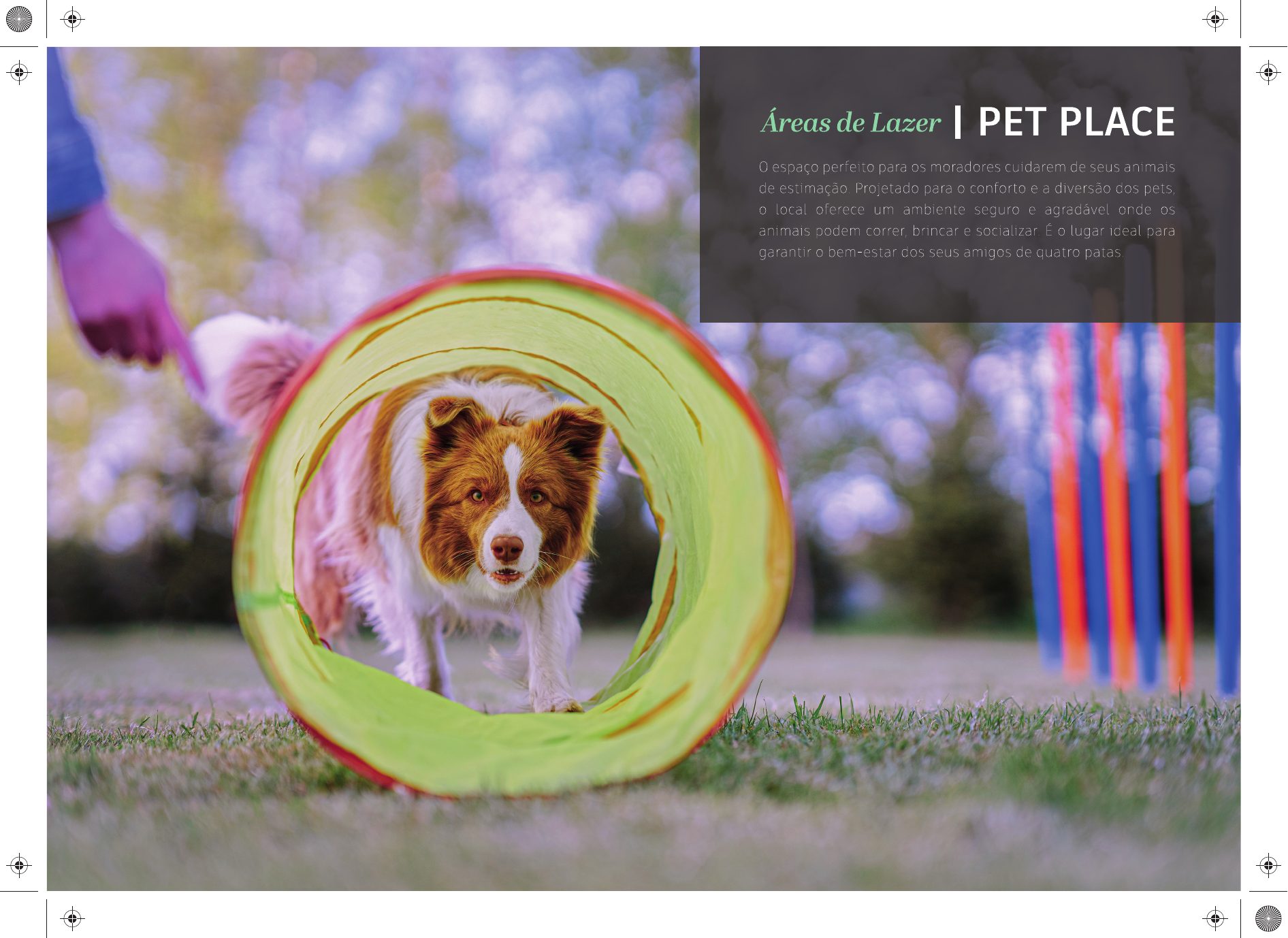 Pet Place
